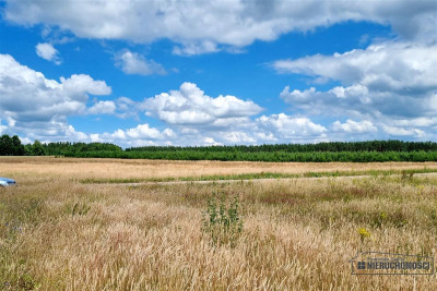 Działki na skraju wsi blisko lasu - Kowalki   -
Zachodniopomorskie Zdjęcie nr 14