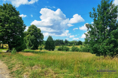 Działki na skraju wsi przy rzeczce - Kowalki   -
Zachodniopomorskie Zdjęcie nr 4