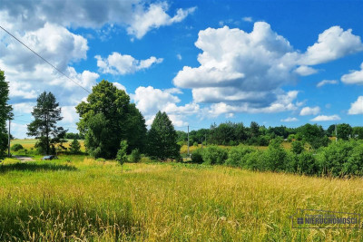 Działki na skraju wsi przy rzeczce - Kowalki   -
Zachodniopomorskie Zdjęcie nr 5