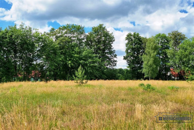 Działki w Kowalkach na raty 0 - Kowalki   -
Zachodniopomorskie Zdjęcie nr 13