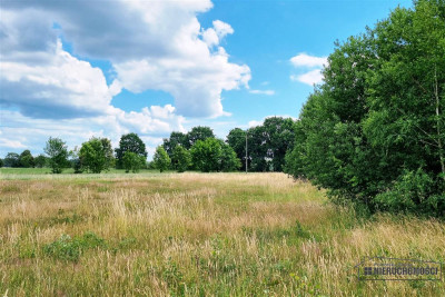 Działki w Kowalkach na raty 0 - Kowalki   -
Zachodniopomorskie Zdjęcie nr 7