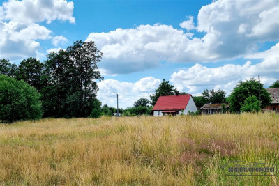 Działki w Kowalkach na raty 0 - Kowalki   -
Zachodniopomorskie Zdjęcie nr 8