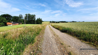 Działka ok 7 km od Morza Bałtyckiego - Będzino   -
Zachodniopomorskie Zdjęcie nr 10