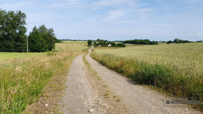 Działka ok 7 km od Morza Bałtyckiego - Będzino   -
Zachodniopomorskie Zdjęcie nr 11