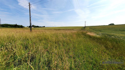 Działka ok 7 km od Morza Bałtyckiego - Będzino   -
Zachodniopomorskie Zdjęcie nr 13