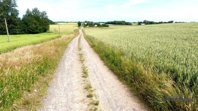 Działka ok 7 km od Morza Bałtyckiego - Będzino   -
Zachodniopomorskie Zdjęcie nr 9