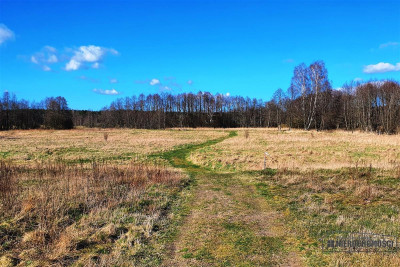 Działka budowlana blisko rzeki i jeziora Spore - Spore   -
Zachodniopomorskie Zdjęcie nr 13