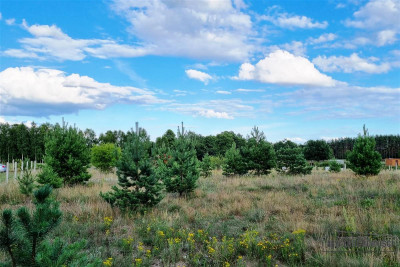 Działka budowlana blisko rzeki i jeziora Spore - Spore   -
Zachodniopomorskie Zdjęcie nr 6