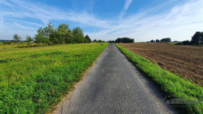 Działka NA RATY w Zagoździe gm Drawsko Pomorskie - Zagozd   -
Zachodniopomorskie Zdjęcie nr 12