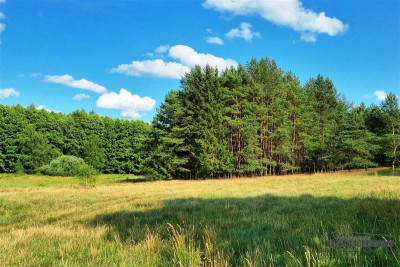 Urokliwa działka siedliskowa z własnym jeziorkiem - Kazimierz   -
Zachodniopomorskie Zdjęcie nr 10