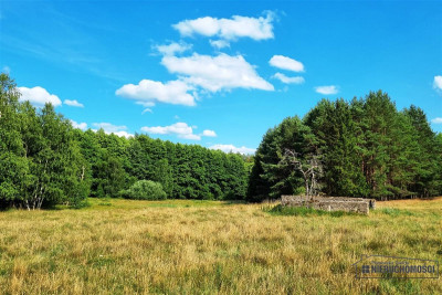 Urokliwa działka siedliskowa z własnym jeziorkiem - Kazimierz   -
Zachodniopomorskie Zdjęcie nr 11