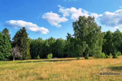 Urokliwa działka siedliskowa z własnym jeziorkiem - Kazimierz   -
Zachodniopomorskie Zdjęcie nr 12