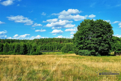 Urokliwa działka siedliskowa z własnym jeziorkiem - Kazimierz   -
Zachodniopomorskie Zdjęcie nr 14