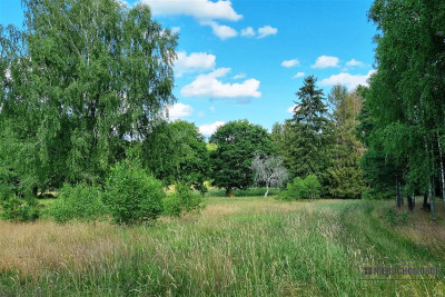 Urokliwa działka siedliskowa z własnym jeziorkiem - Kazimierz   -
Zachodniopomorskie Zdjęcie nr 6