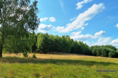 Urokliwa działka siedliskowa z własnym jeziorkiem - Kazimierz   -
Zachodniopomorskie Zdjęcie nr 7