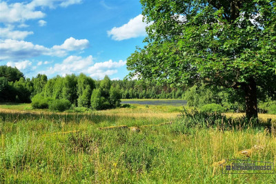 Urokliwa działka siedliskowa z własnym jeziorkiem - Kazimierz   -
Zachodniopomorskie Zdjęcie nr 8