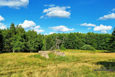 Urokliwa działka siedliskowa z własnym jeziorkiem - Kazimierz   -
Zachodniopomorskie Zdjęcie nr 9