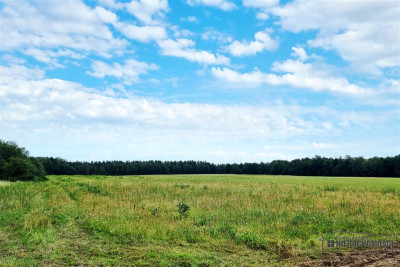 960 zł miesięcznie - kup na raty bez banku - Krytno   -
Zachodniopomorskie Zdjęcie nr 14