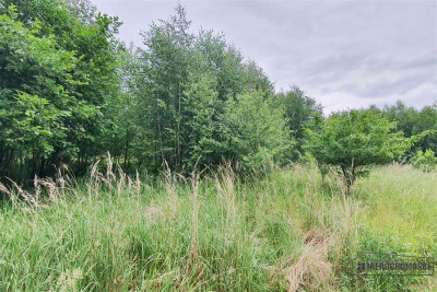 Działka rekreacyjna blisko jeziora Pile - Silnowo   -
Zachodniopomorskie Zdjęcie nr 5