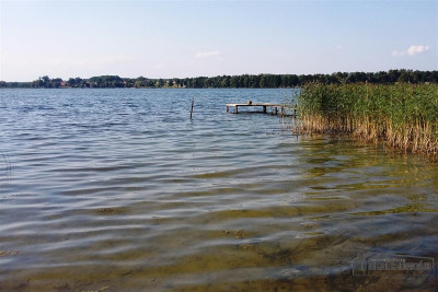 Działka rekreacyjna blisko jeziora Pile - Silnowo   -
Zachodniopomorskie Zdjęcie nr 13