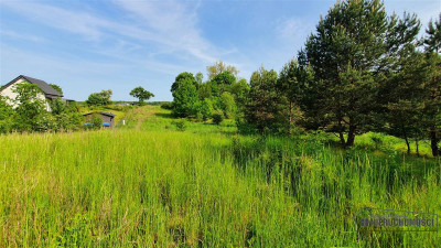 DZIAŁKA BUDOWLANA OK 200 m OD JEZIORA PILE - Dąbrowica   -
Zachodniopomorskie Zdjęcie nr 12