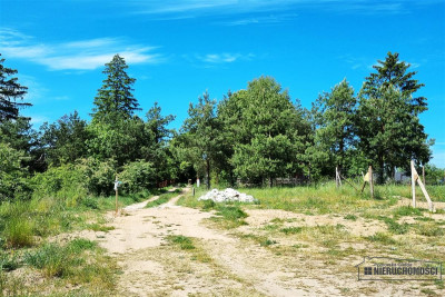 1260 zł miesięcznie - kup na raty bez banku - Tarnina   -
Zachodniopomorskie Zdjęcie nr 11