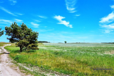 1260 zł miesięcznie - kup na raty bez banku - Tarnina   -
Zachodniopomorskie Zdjęcie nr 14