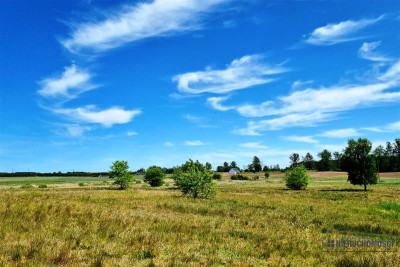 1260 zł miesięcznie - kup na raty bez banku - Tarnina   -
Zachodniopomorskie Zdjęcie nr 2