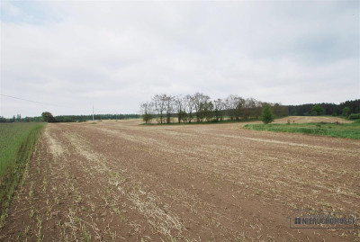 Atrakcyjna nieruchomość inwestycyjna - Grabowo - Grabowo   -
Zachodniopomorskie Zdjęcie nr 10