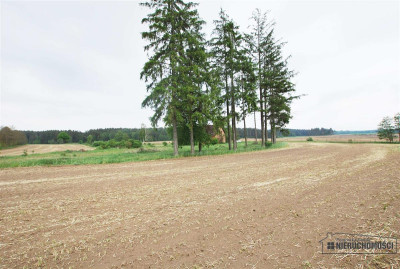 Atrakcyjna nieruchomość inwestycyjna - Grabowo - Grabowo   -
Zachodniopomorskie Zdjęcie nr 11