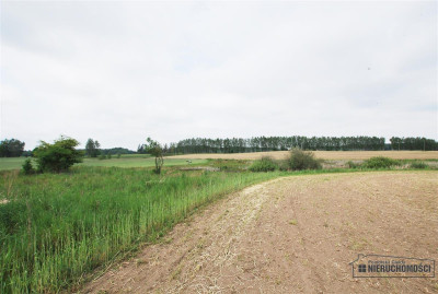 Atrakcyjna nieruchomość inwestycyjna - Grabowo - Grabowo   -
Zachodniopomorskie Zdjęcie nr 12