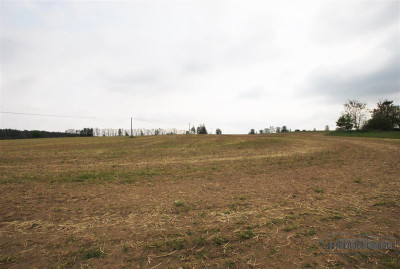 Atrakcyjna nieruchomość inwestycyjna - Grabowo - Grabowo   -
Zachodniopomorskie Zdjęcie nr 13