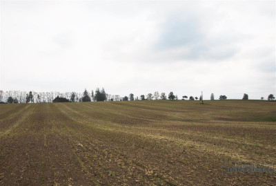 Atrakcyjna nieruchomość inwestycyjna - Grabowo - Grabowo   -
Zachodniopomorskie Zdjęcie nr 14