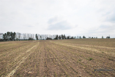 Atrakcyjna nieruchomość inwestycyjna - Grabowo - Grabowo   -
Zachodniopomorskie Zdjęcie nr 2