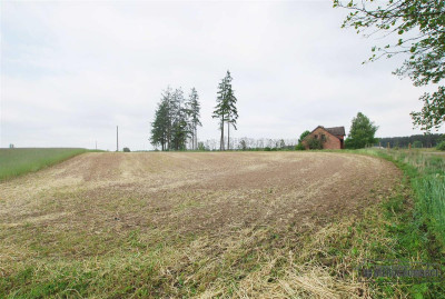 Atrakcyjna nieruchomość inwestycyjna - Grabowo - Grabowo   -
Zachodniopomorskie Zdjęcie nr 4