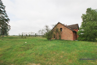 Atrakcyjna nieruchomość inwestycyjna - Grabowo - Grabowo   -
Zachodniopomorskie Zdjęcie nr 7