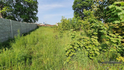 DZIAŁKA MIESZKALNO - USŁUGOWA - Łubowo   -
Zachodniopomorskie Zdjęcie nr 13