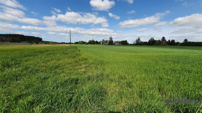 Działka budowlana 35 km od Morza Bałtyckiego - na  - Świeszewo   -
Zachodniopomorskie Zdjęcie nr 10