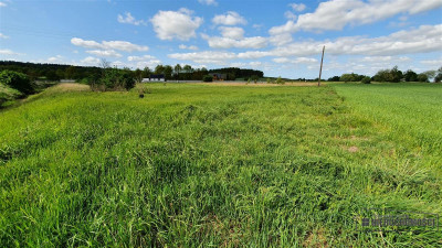 Działka budowlana 35 km od Morza Bałtyckiego - na  - Świeszewo   -
Zachodniopomorskie Zdjęcie nr 9