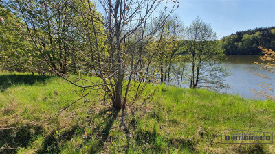 Duża działka z 50 metrową linią brzegową i z widok - Dziki   -
Zachodniopomorskie Zdjęcie nr 8