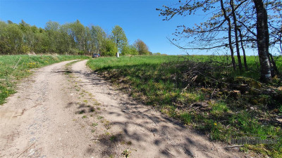 Działka położona w pobliżu Jeziora Komorze - Sikory   -
Zachodniopomorskie Zdjęcie nr 14