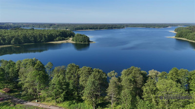 Działka nad samym Jeziorem Pile - Krągi   -
Zachodniopomorskie Zdjęcie nr 5