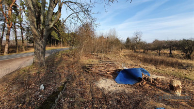 Część działki blisko Jeziora Sarcze - Jeleń   -
Zachodniopomorskie Zdjęcie nr 3