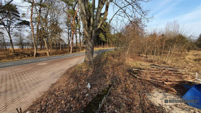 Część działki blisko Jeziora Sarcze - Jeleń   -
Zachodniopomorskie Zdjęcie nr 4