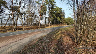 Część działki blisko Jeziora Sarcze - Jeleń   -
Zachodniopomorskie Zdjęcie nr 7