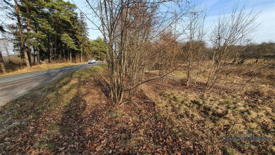 Część działki blisko Jeziora Sarcze - Jeleń   -
Zachodniopomorskie Zdjęcie nr 8