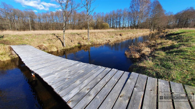 Spore - działka budowlana blisko rzeki i jeziora - Spore   -
Zachodniopomorskie Zdjęcie nr 13