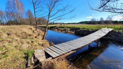 Spore - działka budowlana blisko rzeki i jeziora - Spore   -
Zachodniopomorskie Zdjęcie nr 14