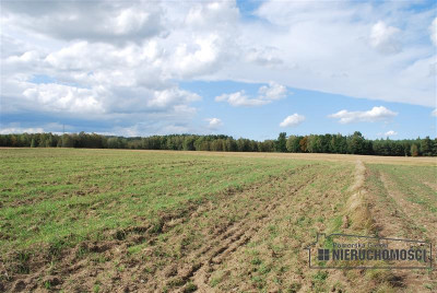 Działka budowlana w Dobrogoszczy gm Szczecinek - Dobrogoszcz   -
Zachodniopomorskie Zdjęcie nr 5