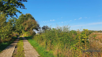 70 km od Szczecina działka budow - 2 km od Jezior - Tucze   -
Zachodniopomorskie Zdjęcie nr 11